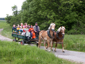 Bild: Kutschfahrt ins Helbetal