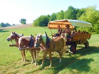 Kremser dreispännig